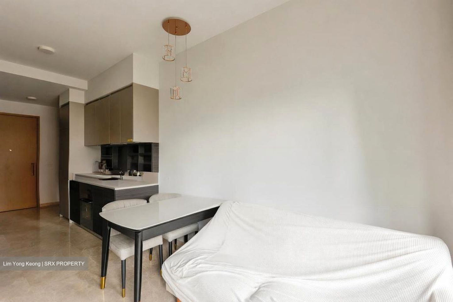 Haus On Handy (D9), Condominium #528180761